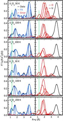 Charge-lattice coupling and the dynamic structure of the U–O distribution in UO2+x